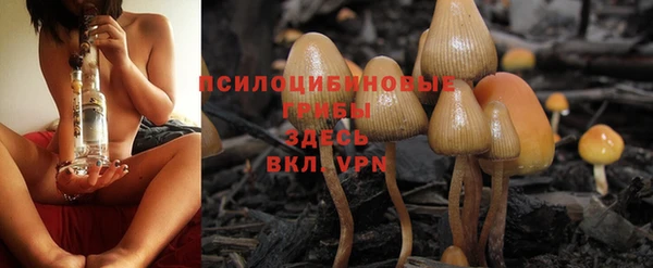 марихуана Бежецк