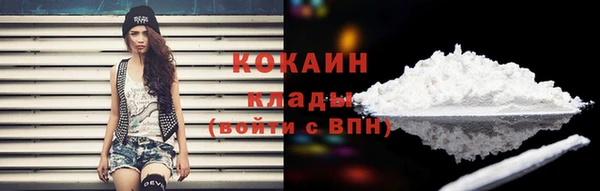 соль ск Новокубанск