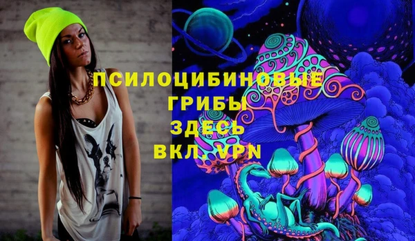 MDMA Новозыбков
