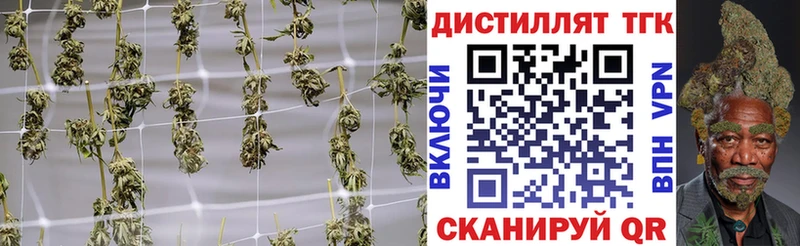 цена   Лянтор  мега зеркало  Дистиллят ТГК концентрат 