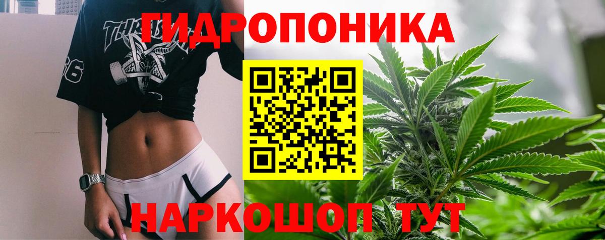 Бошки Шишки Bruce Banner Лянтор